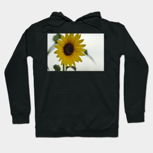 Sunflower power Hoodie